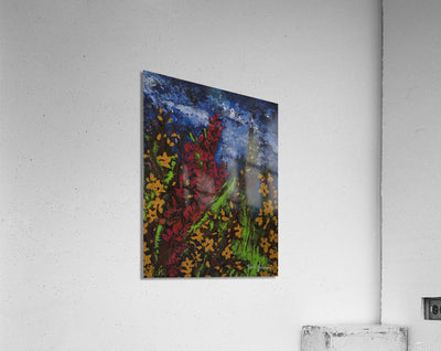 Acrylic Print